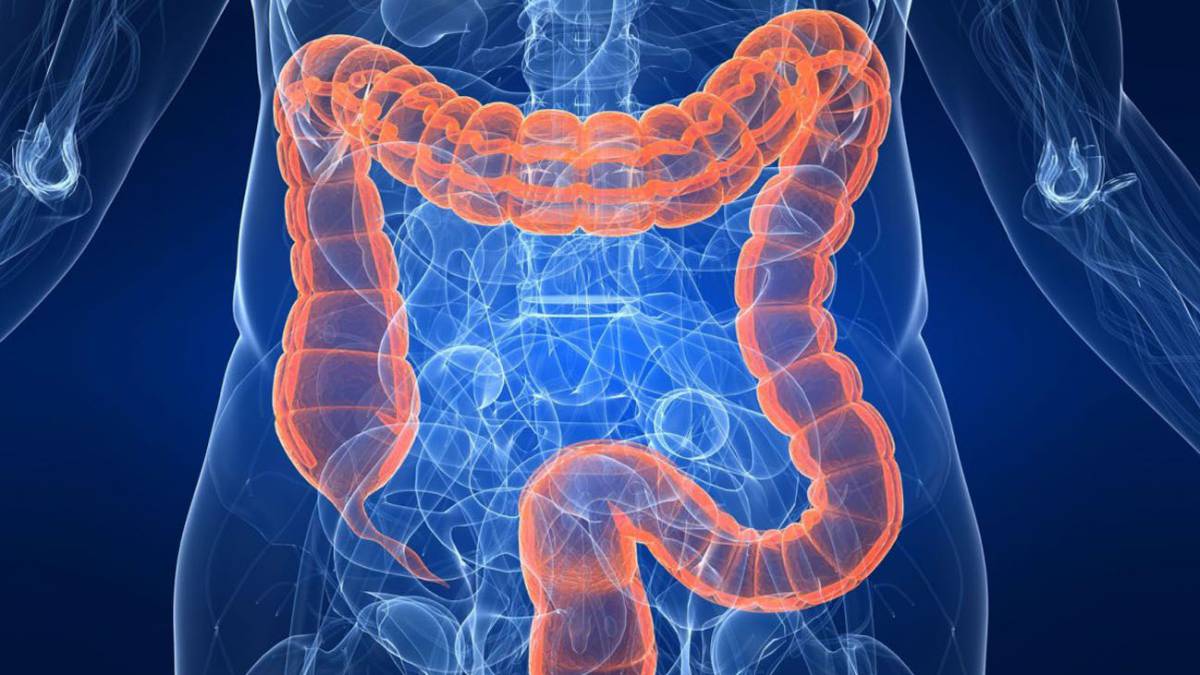 Hidroterapia de colon